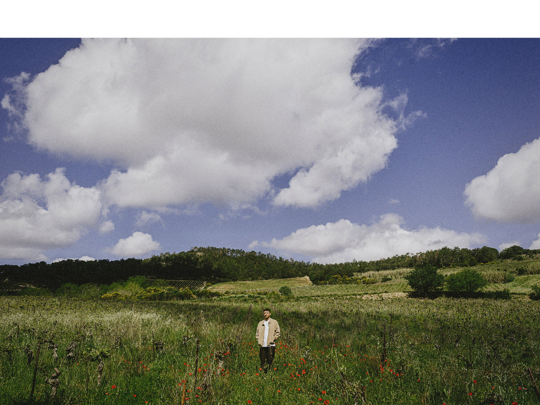 FloFilz –– handful (vinyl, 2024, casual low grind) – Sichtexot
